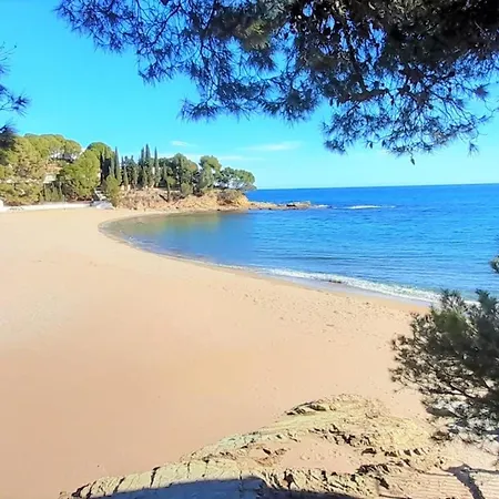 Magnifico Atico Amueblado Con Terraza A 2 Pasos De La Playa - Se Aceptan Mascotas - Es-170-23 *