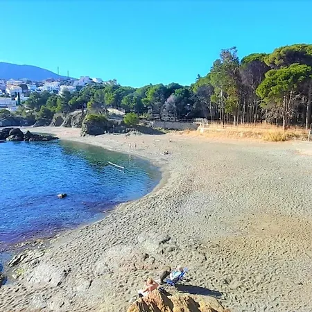 Magnifico Atico Amueblado Con Terraza A 2 Pasos De La Playa - Se Aceptan Mascotas - Es-170-23 Apartment *