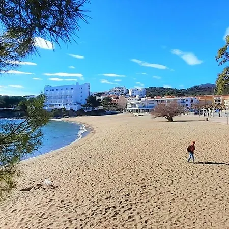 Magnifico Atico Amueblado Con Terraza A 2 Pasos De La Playa - Se Aceptan Mascotas - Es-170-23